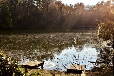 Scenic view of lake in forest
