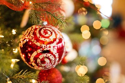 Close-up of christmas decoration hanging on tree