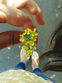 Close-up of cropped hand holding flower