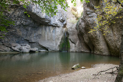 View of ducks on rock formation