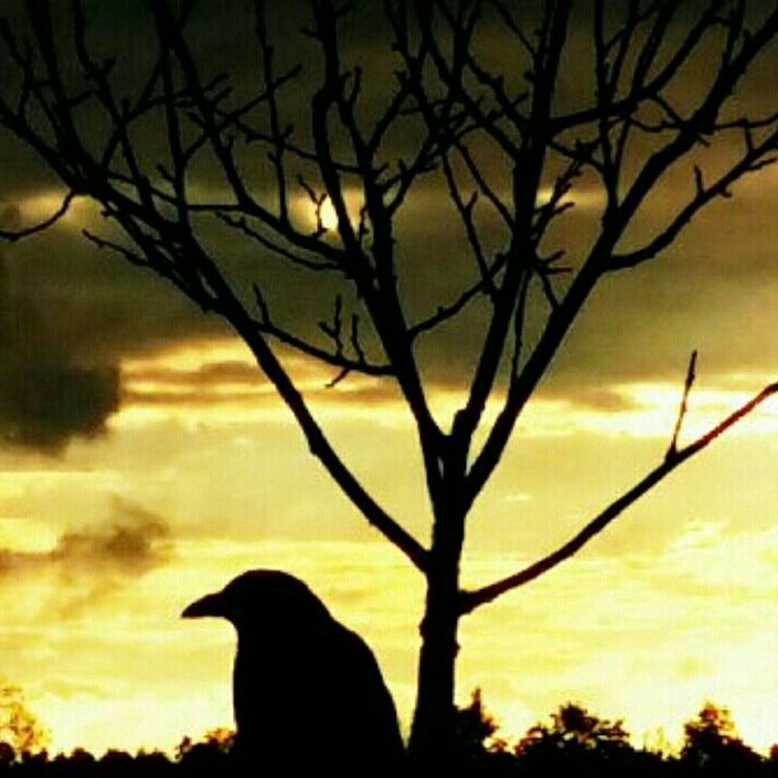 🏴󠁧󠁢󠁳󠁣󠁴󠁿🇮🇪🇩🇪🔥 Celtic Fire Photography International 💘 📸