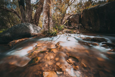 Stream flowing through rocks in forest