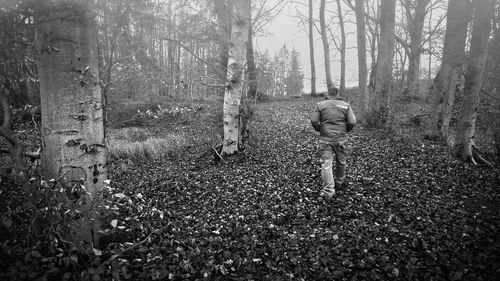 Rear view of man walking on field in forest