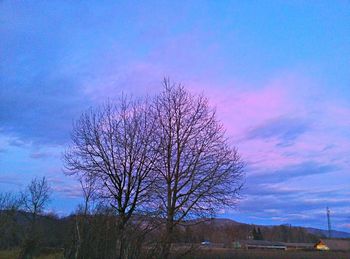 Trees on landscape against cloudy sky