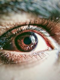 Close-up of human eye