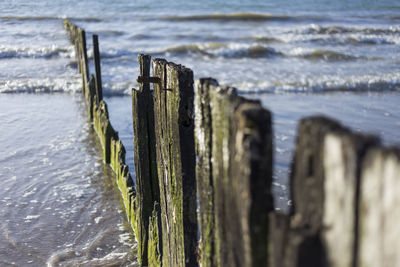 Close-up of wooden posts on beach