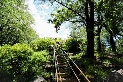 Railroad tracks amidst trees in forest against sky