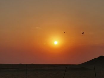 Silhouette of birds flying against orange sky