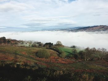 Scenic view of landscape against sky