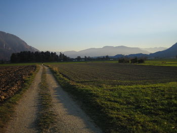 View of country road going through farm landscape 