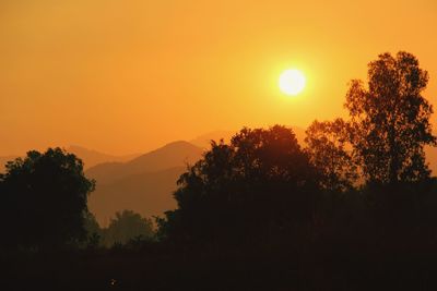 Silhouette trees against orange sky