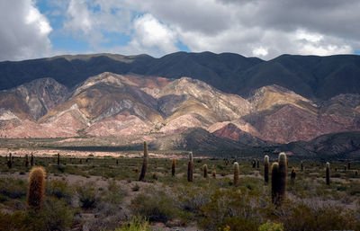 Scenic view of field and mountains against sky