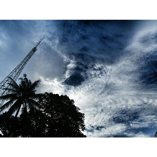low angle view, sky, transfer print, cloud - sky, tree, cloudy, auto post production filter, cloud, silhouette, nature, growth, beauty in nature, day, high section, overcast, outdoors, palm tree, tranquility, no people, weather