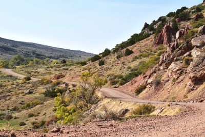 Winding rural road
