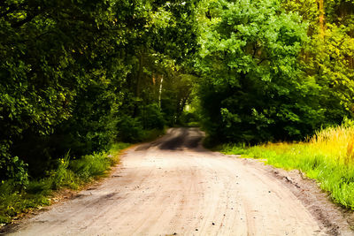 Dirt road amidst trees