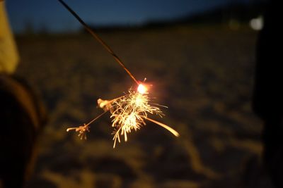 Close-up of fire crackers