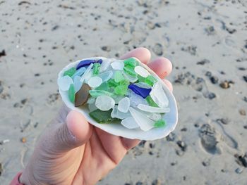 Close-up of hand holding shell and sea glass