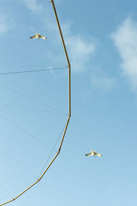 Low angle view of seagulls flying in sky