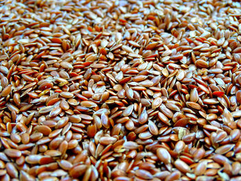 Background of small grains of flaxseed