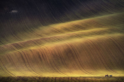 Scenic view of sunlight on agricultural field