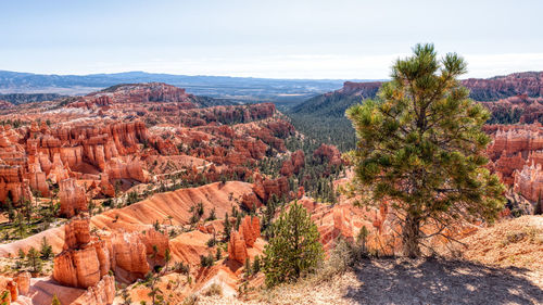 Scenic view of landscape