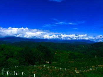 Scenic view of field and mountains against blue sky