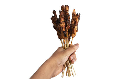 Close-up of hand holding leaf over white background