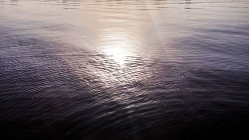 Reflection of trees in water