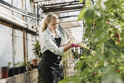 Female gardener watering plants with pipe in greenhouse