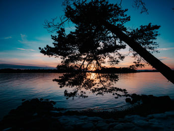 Silhouette tree by lake against sky during sunset