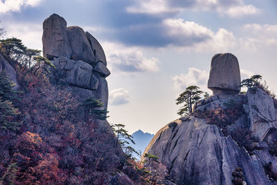 The rocks with autumn colors are beautiful
