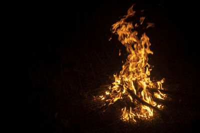 Fire in the dark. flame from burning wood. tongues of fire at night.