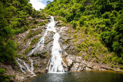 Scenic view of waterfall in forest