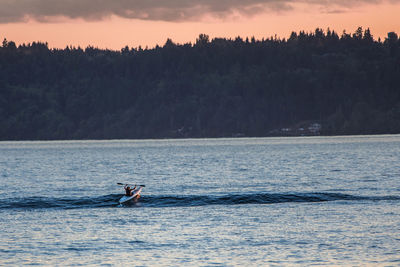 Silhouette man surfing in sea against sky during sunset