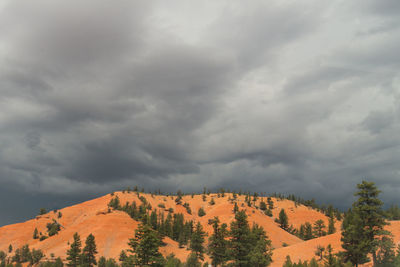 Scenic view of landscape against cloudy sky