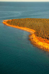 Red rock cliffs of shark bay