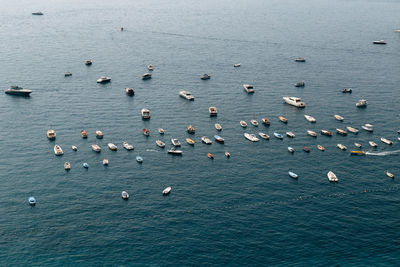 High angle view of birds in sea