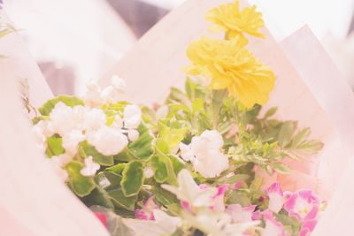 Close-up of flowers