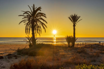 Scenic view of beach during sunset