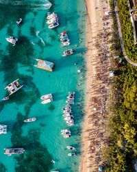 High angle view of boats moored on sea