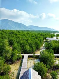High angle view of plants by river against sky