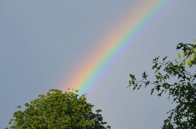 Low angle view of rainbow against clear sky
