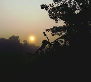 Silhouette tree against sky during sunset