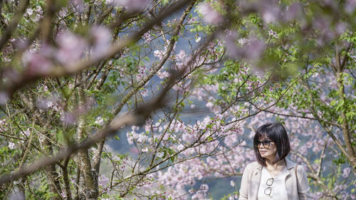 Portrait of woman standing by cherry tree