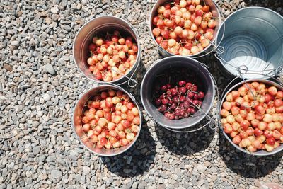 High angle view of fruits in bowl