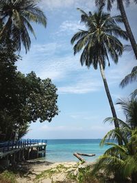 Palm trees on beach against sky