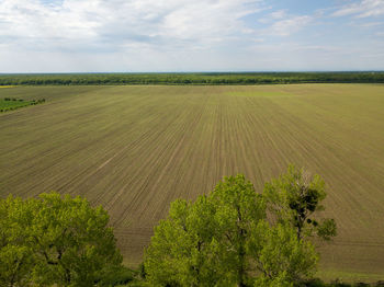 Scenic view of agricultural field against sky