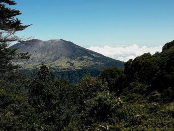 Scenic view of trees and mountains against sky