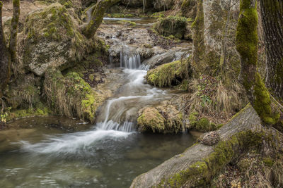 Stream flowing through rocks in forest