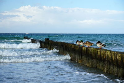 Scenic view of sea against sky